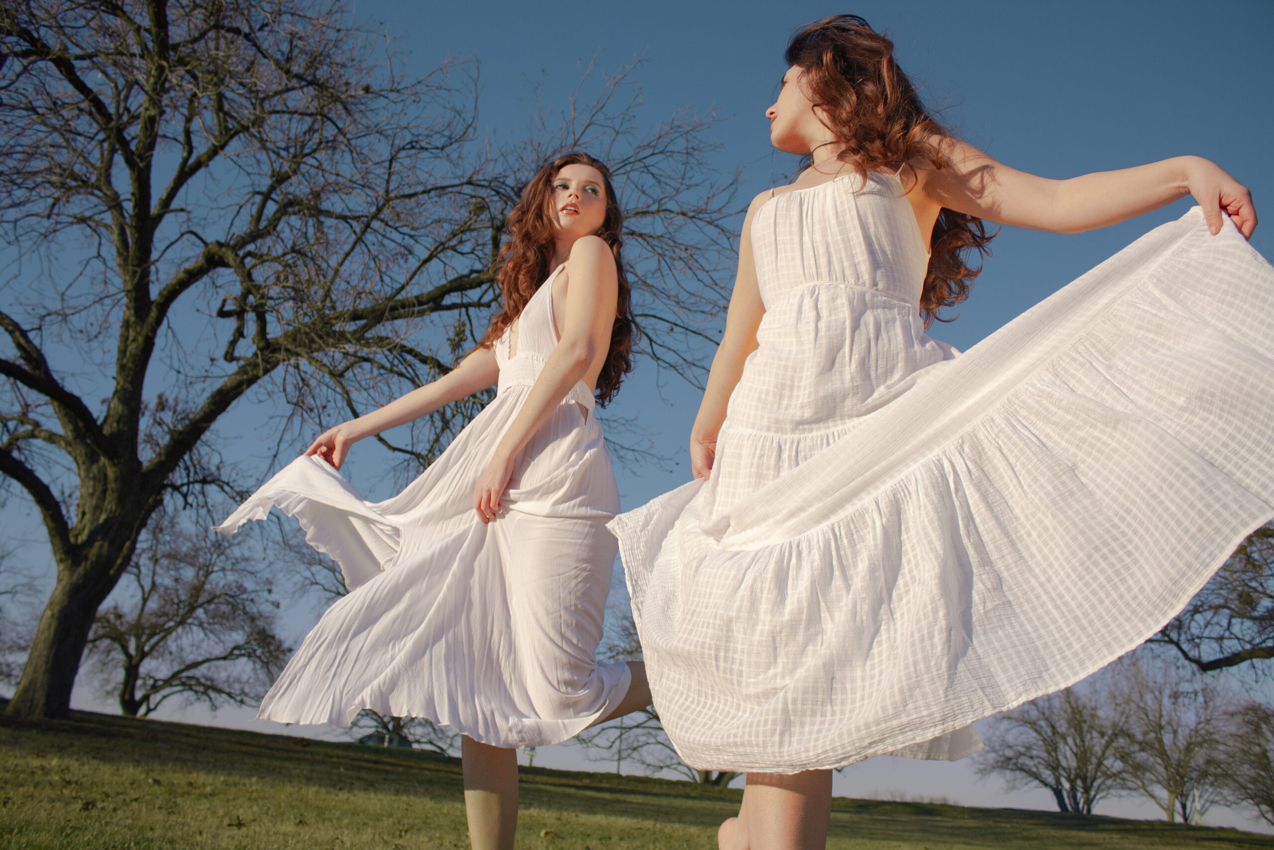 Spring is Sprouting: An Editorial